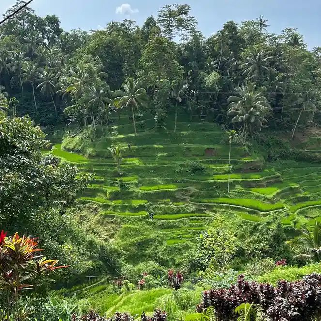 Bali