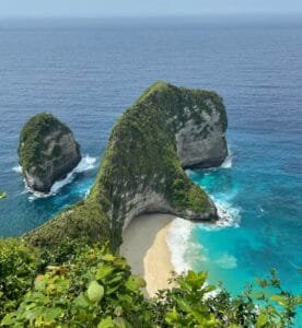 Triips | Never Pay Full Price for a Flight Again